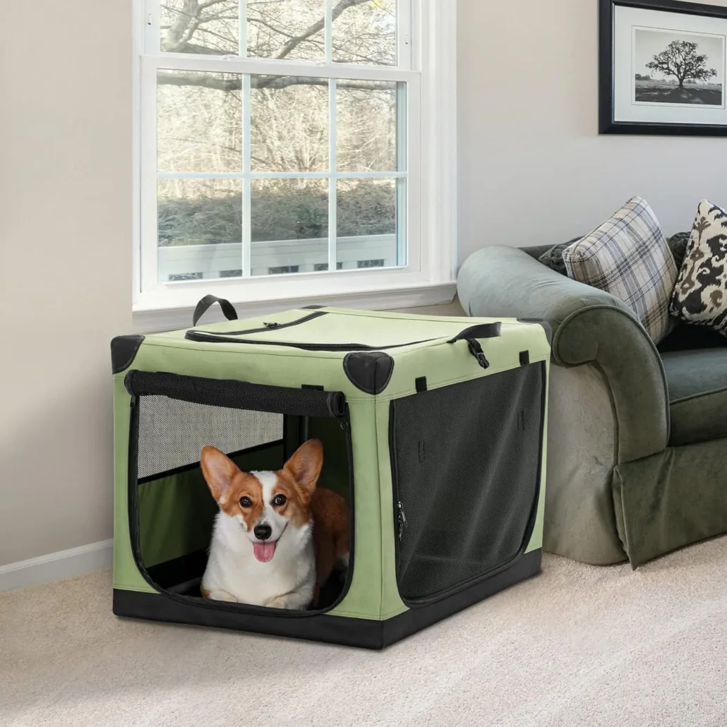 Custom PET Carrier Pet Carrier – AB042 product view