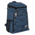 Cooler backpack