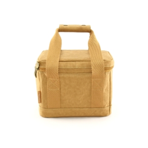 Tyvek Lunch Cooler Bag