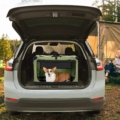 Pet Carrier