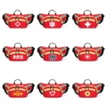 First Aid Bum Bag